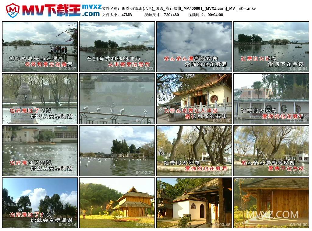 田震-玫瑰泪(风景)_国语_流行歌曲_MA405861